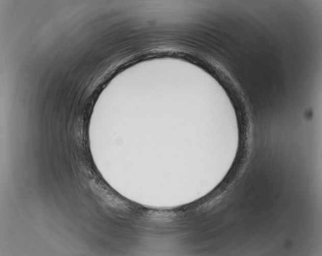X0000116130825201001041009