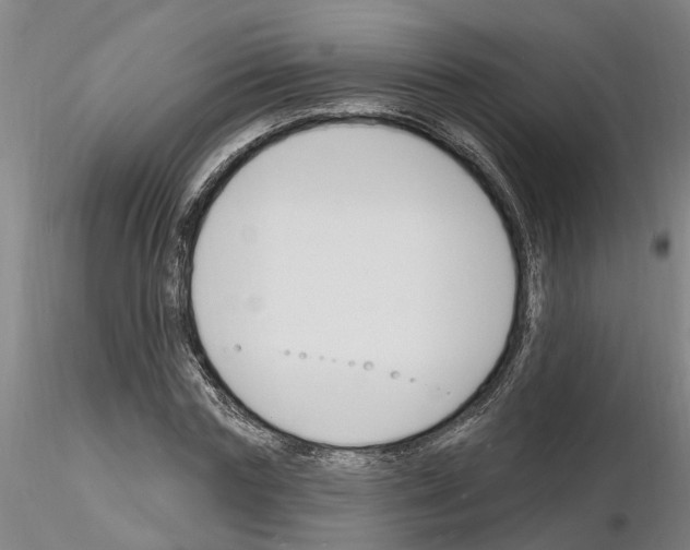 X0000116130827201001041009