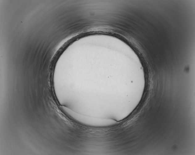 X0000116130830201001041010