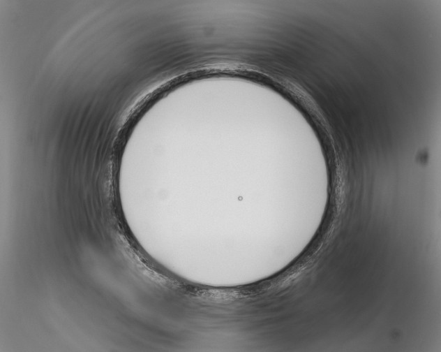 X0000116130831201001041010
