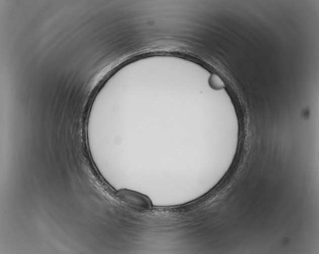 X0000116130834201001041010