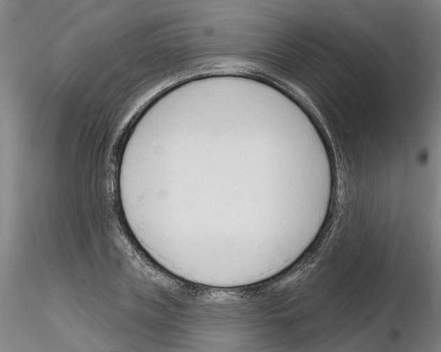 X0000116130835201001041010