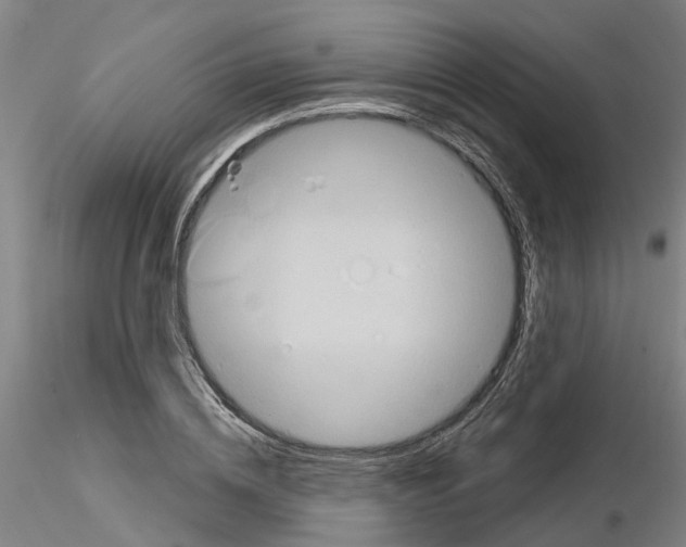 X0000116130836201001041010