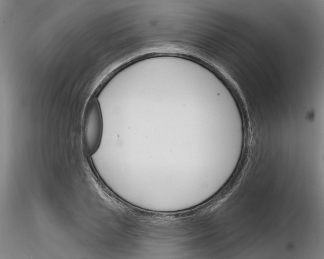 X0000116130837201001041010