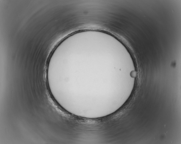 X0000116130839201001041010