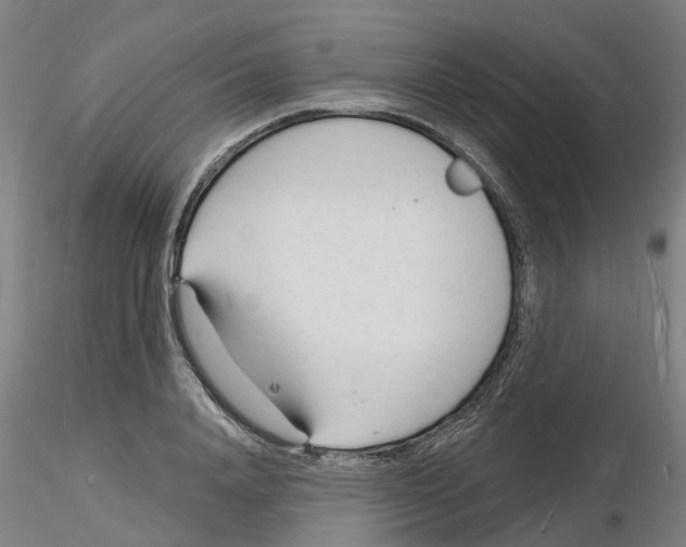 X0000116130840201001041010