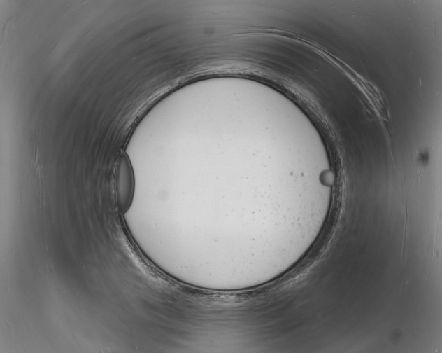 X0000116130841201001041010