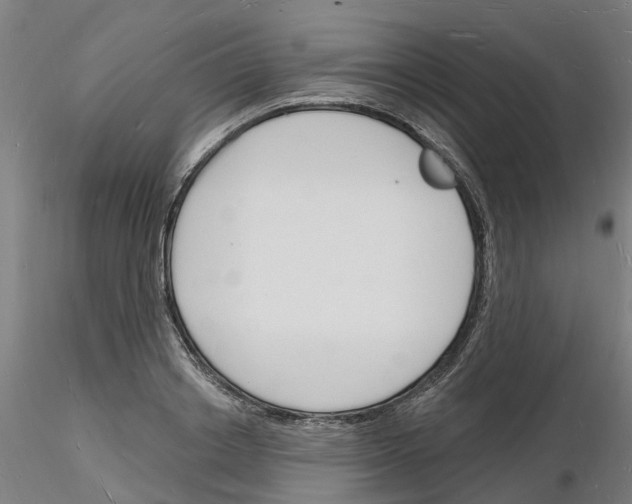 X0000116130842201001041010