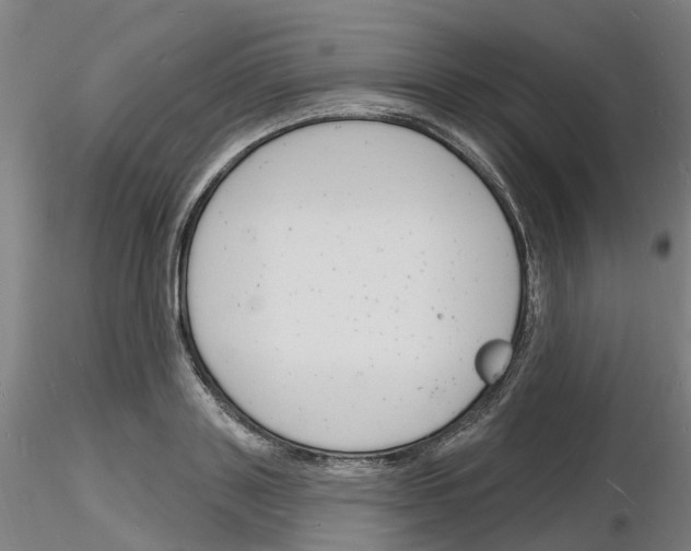 X0000116130843201001041010