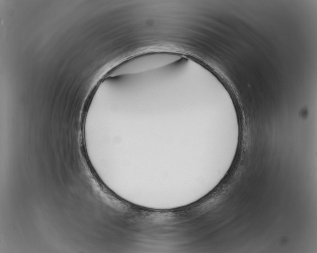 X0000116130845201001041010