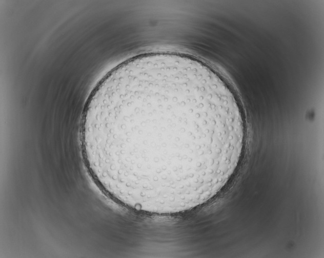 X0000116130847201001041010