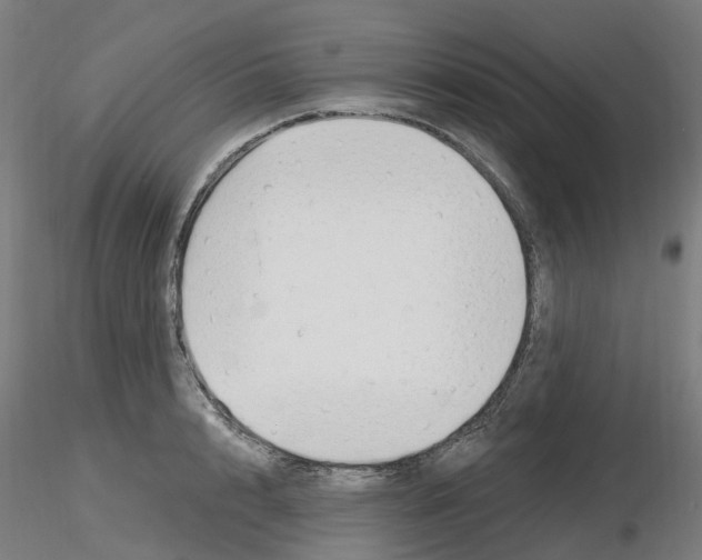 X0000116130848201001041010