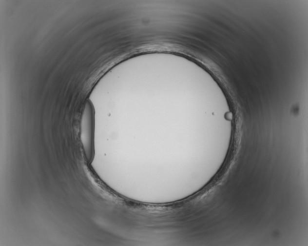 X0000116130849201001041010