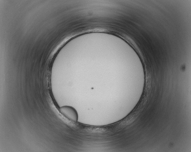X0000116130851201001041010