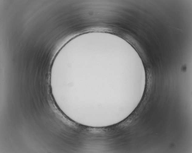 X0000116130852201001041010