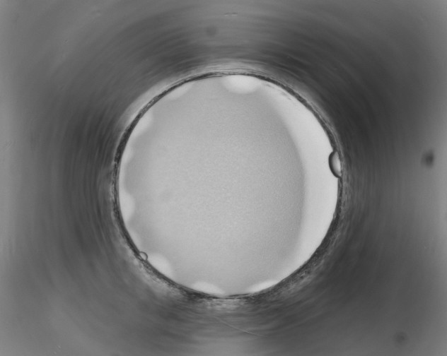 X0000116130853201001041010