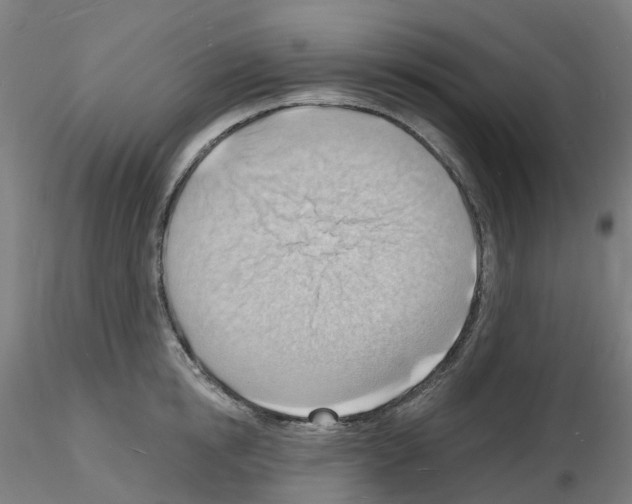 X0000116130854201001041010