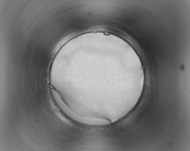 X0000116130858201001041010