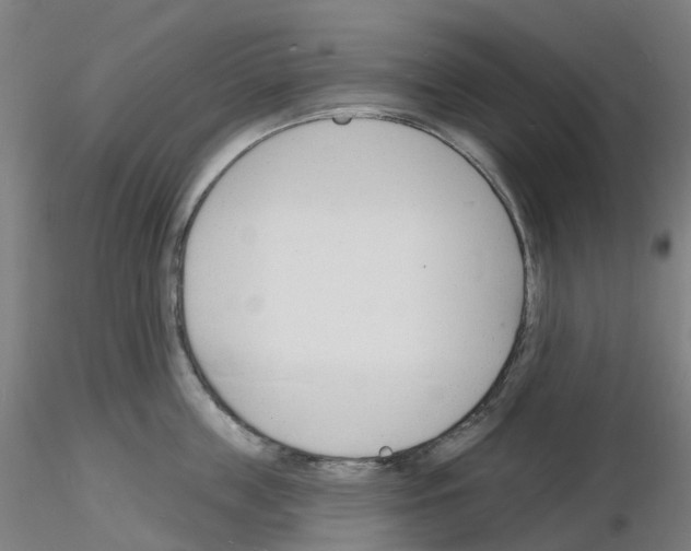 X0000116130859201001041010