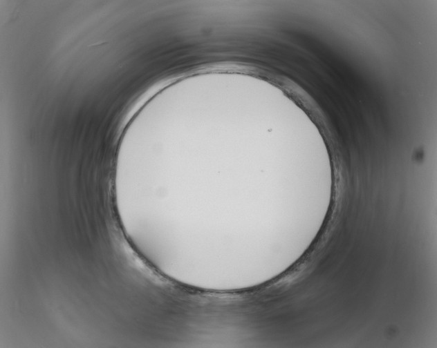 X0000116130860201001041010