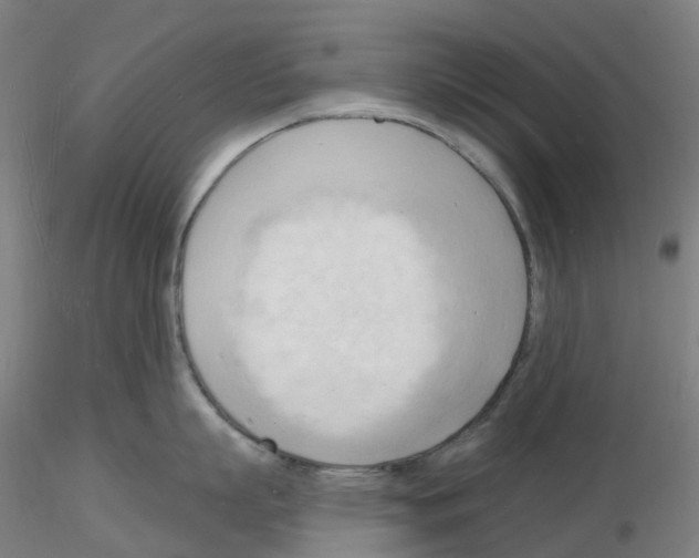 X0000116130863201001041010