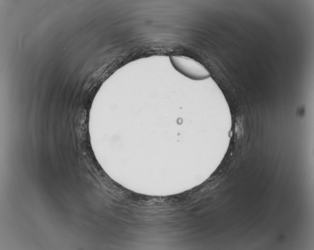 X0000116130867201001041009