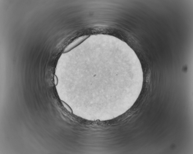X0000116130868201001041009