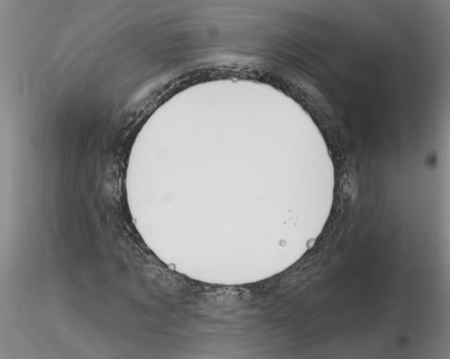X0000116130869201001041009