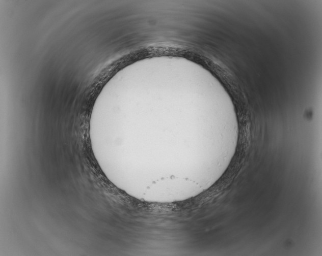 X0000116130870201001041009