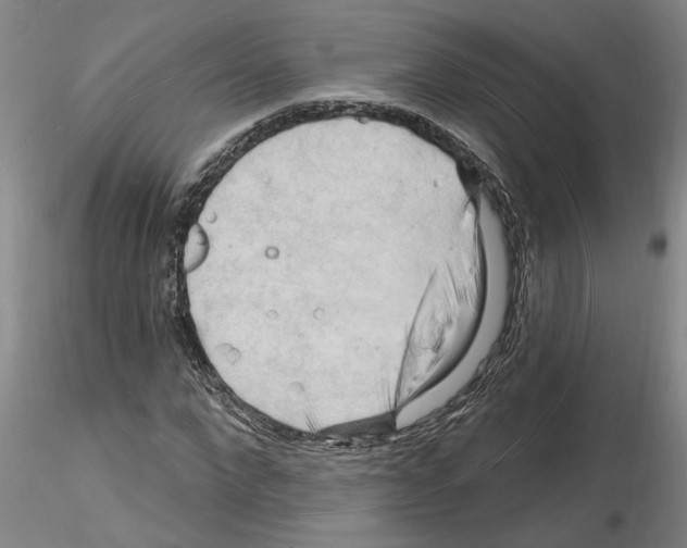 X0000116130872201001041009
