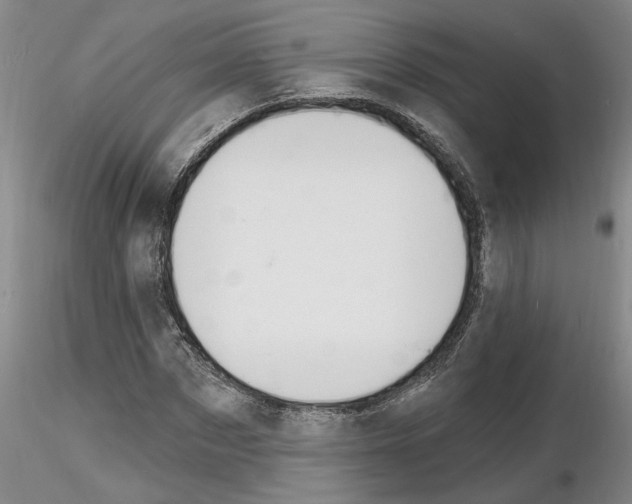 X0000116130873201001041009