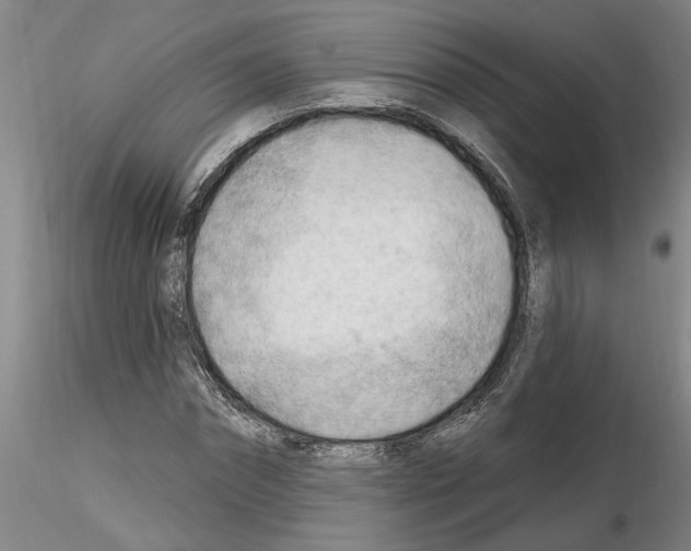 X0000116130874201001041009
