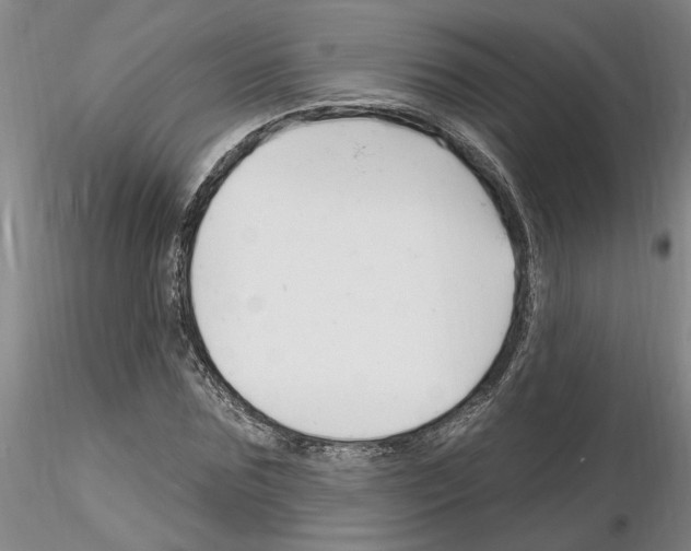 X0000116130875201001041009