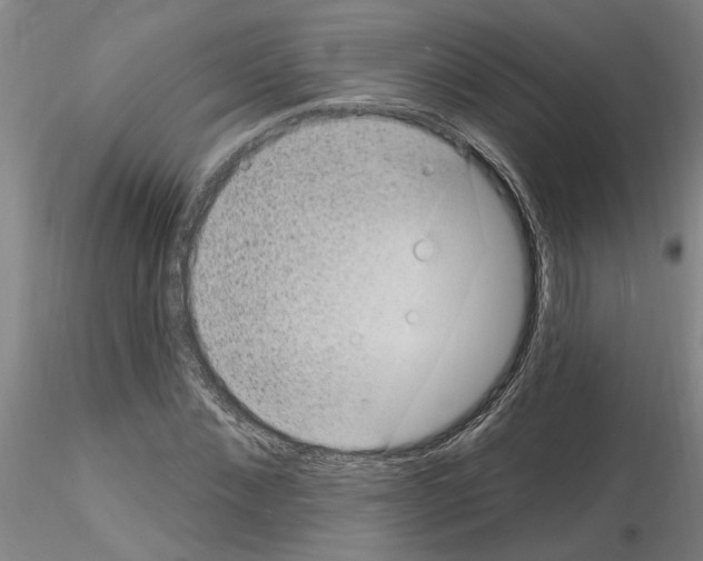 X0000116130876201001041009