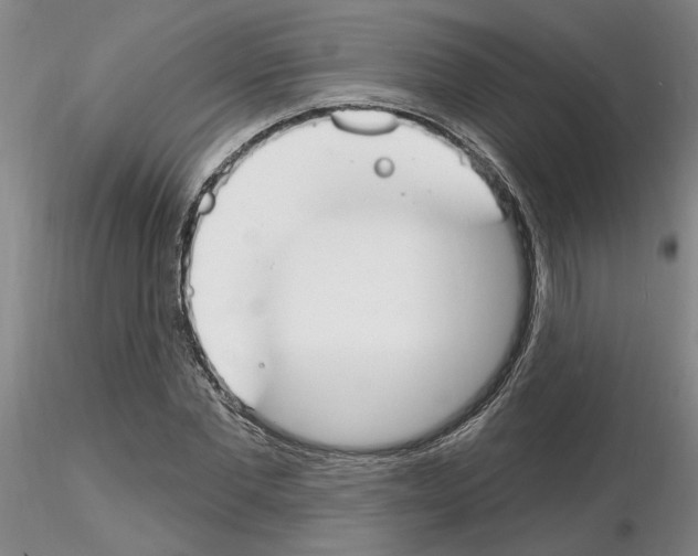 X0000116130877201001041009
