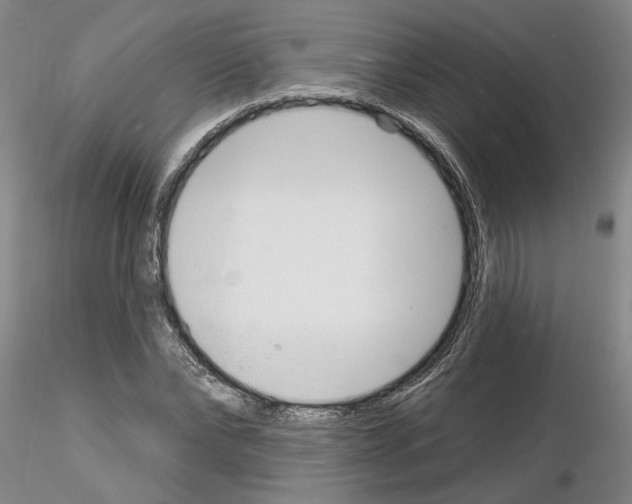 X0000116130878201001041009