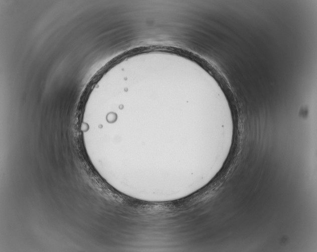 X0000116130879201001041009