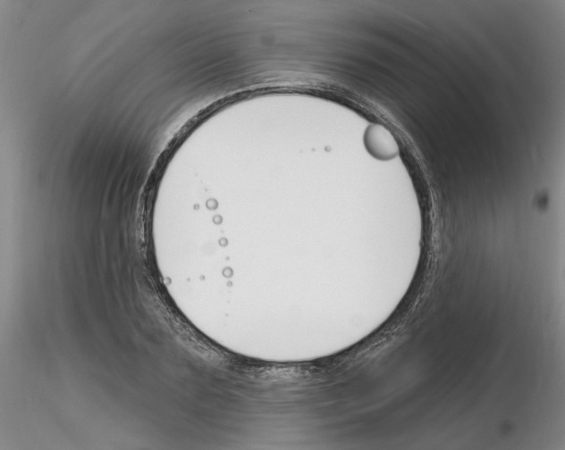 X0000116130883201001041009