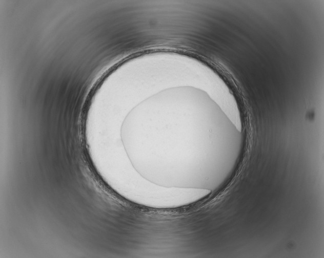 X0000116130884201001041009