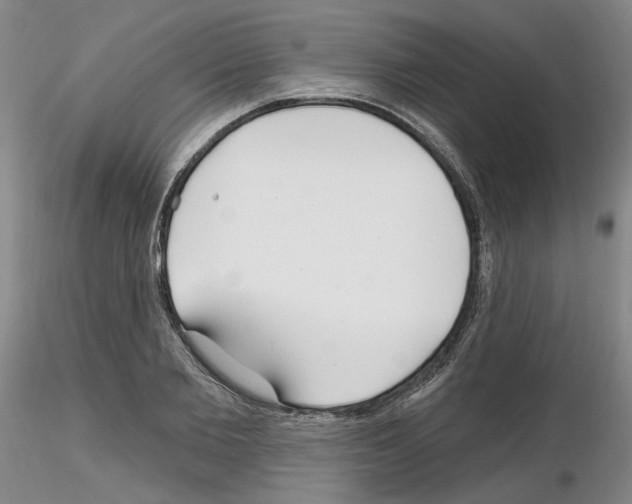 X0000116130885201001041009
