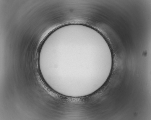 X0000116130886201001041009