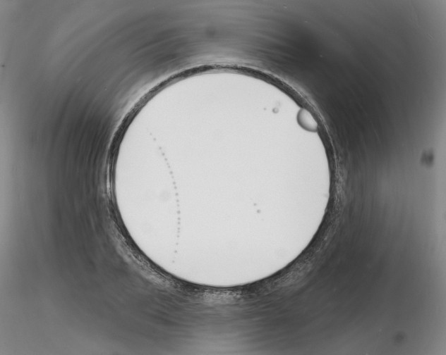 X0000116130887201001041009