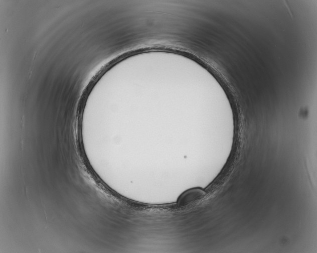 X0000116130888201001041009