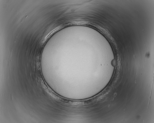 X0000116130889201001041009
