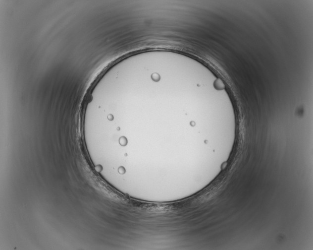 X0000116130891201001041009