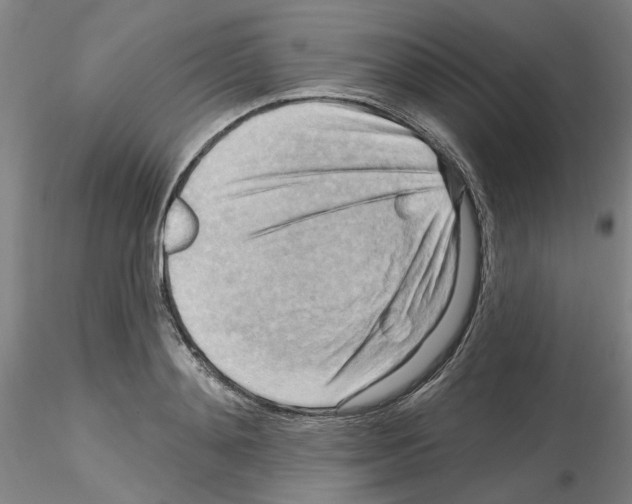 X0000116130892201001041009