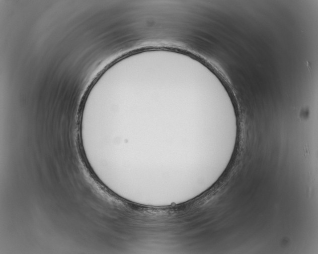 X0000116130895201001041009