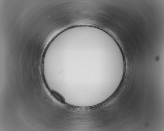 X0000116130901201001041009