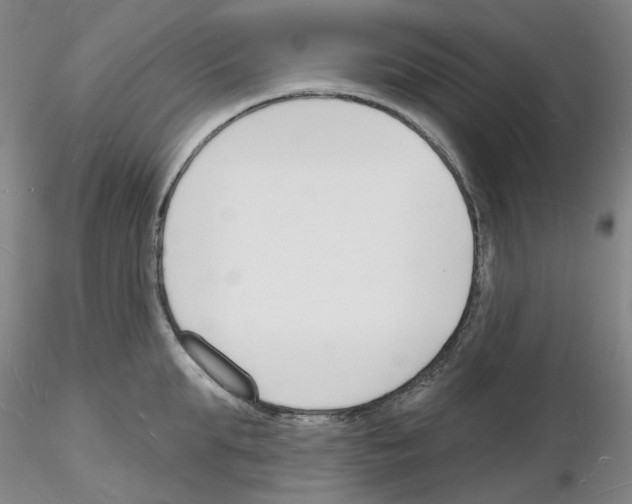 X0000116130903201001041009