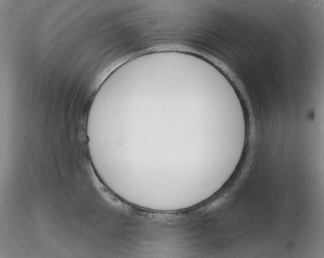 X0000116130905201001041009